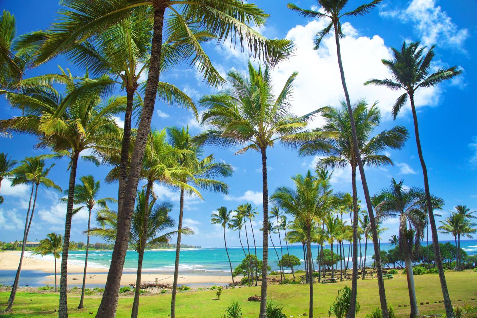 Hilton Garden Inn Kauai Wailua Bay, Hi Kapa'a Zewnętrze zdjęcie